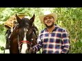 El Komander - No ocupa la banda pa' bailar mi cuaco (Video oficial)