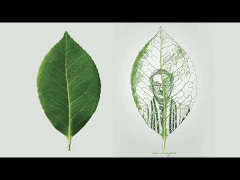 Blending Options | Khắc Hình Người Trên Lá Bằng Photoshop | Win Designer