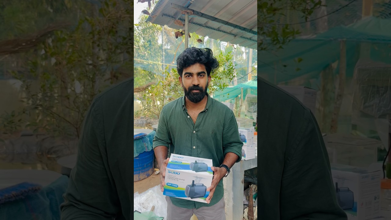 Submersible pump for wholesale rate | fish farm thrissur