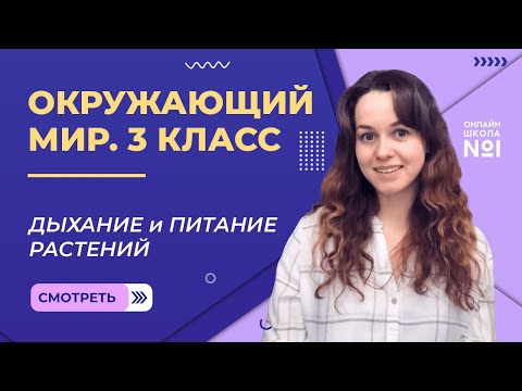 Дыхание и питание растений. Видеоурок 10.2. Окружающий мир 3 класс