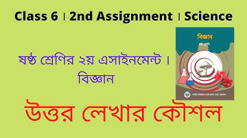 Class 6 । 2nd Assignment । Science । ষষ্ঠ শ্রেণির ২য় এসাইনমেন্ট । বিজ্ঞান । উত্তর লেখার কৌশল