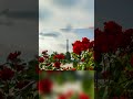 Descubre Cómo Puedo Guiarte a Tu Éxito Hoy