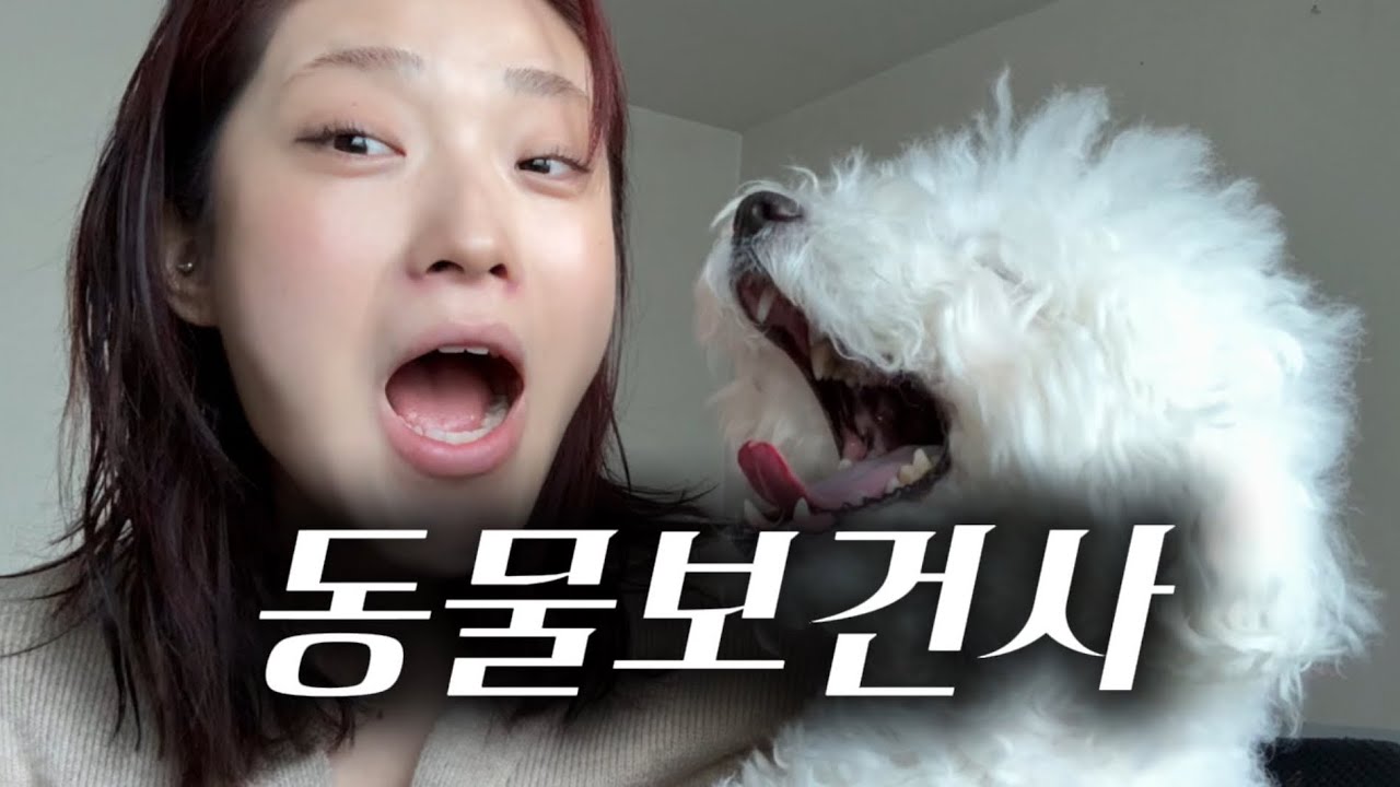 동물보건사가 되기까지의 여정