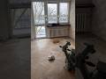 Szybka renowacja podłogi przy której pracowałem #budowa #remontdomu #flooring #floor #parkiet