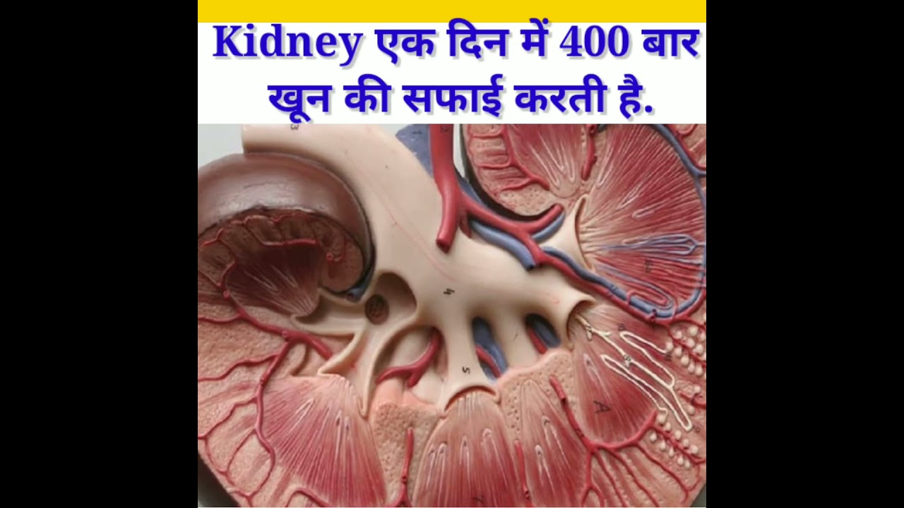 Science amezing facts biology 