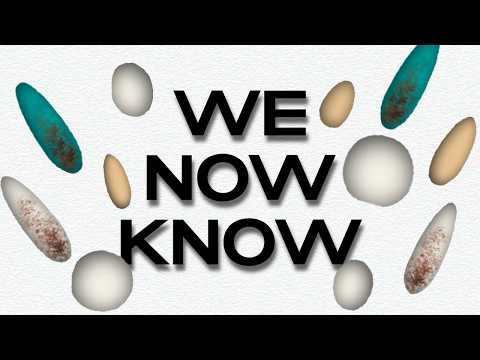 What Colour Were Dinosaur Eggs?