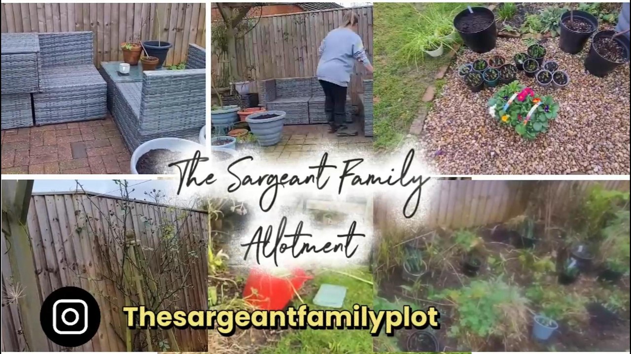 UK GARDEN | SPRING UPDATE | FEBRUARY GARDEN | GETTING READY FOR SPRING  | #gardening