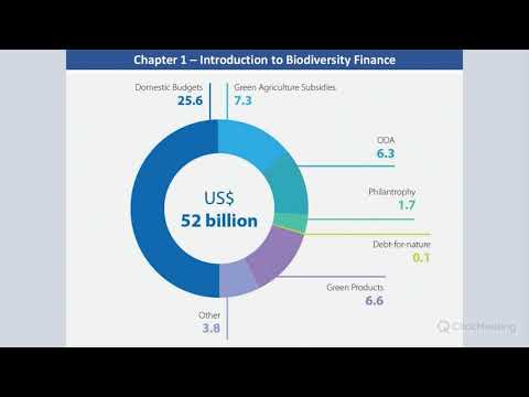 Webinar: Introduction to Biodiversity Finance