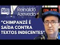 Reinaldo: Há “analista” que deveria imitar certo chimpanzé