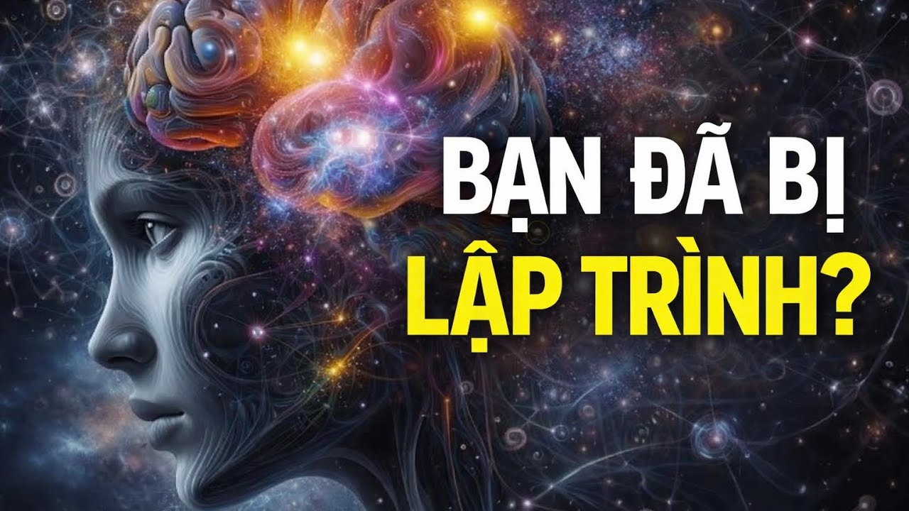 Bạn Không Sống Ngẫu Nhiên – Linh Hồn Đã Chọn Sẵn Cuộc Đời Này.