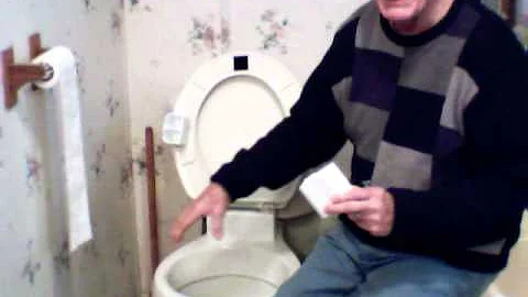 realistic riser toilet seat aid