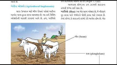 ધોરણ 8 વિજ્ઞાન પાઠ 1 પાક ઉત્પાદન અને વ્યવસ્થાપન PART 1/3 Crop Production and Management