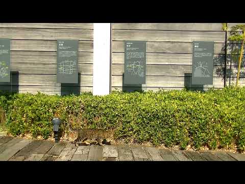 屋外展示「鳥の詩」後期(2020.11~2021.04)のアーカイブ