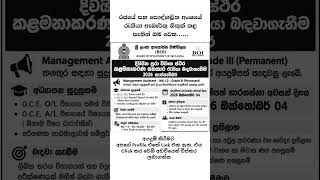 Job Vacancies Sri Lanka | job vacancies