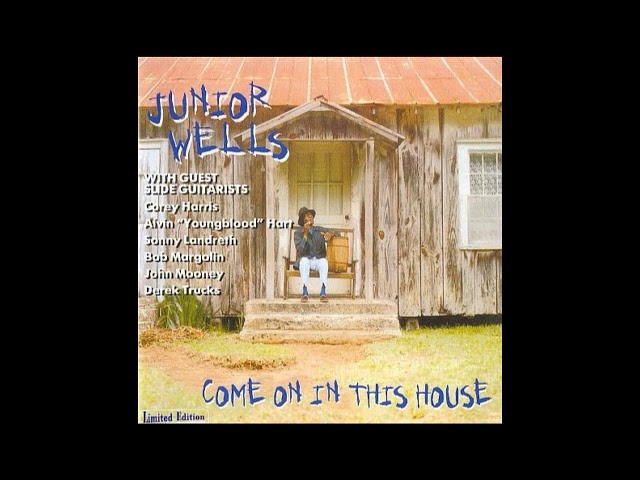 Junior Wells - Why Are People Like That?