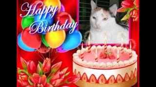 Tisay (Pusa) Dessert screenshot 2