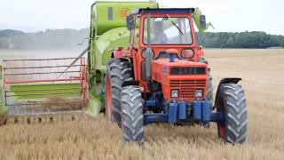 Moisson à l'ancienne 2017