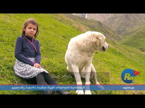 ქეთო დაიაური – ყველაზე პატარა ბავშვი მუცო-არდოტის ხეობაში