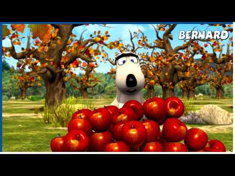 THE APPLE TREE | Bernard | 145' Compilation
