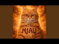 MONTAGEM MIAU MIAU