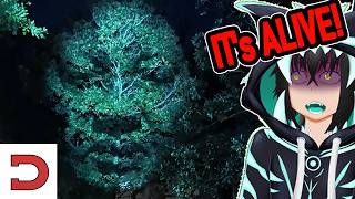 CRAZY THINGS EXIST!! daily dose of internet - Yuu react
