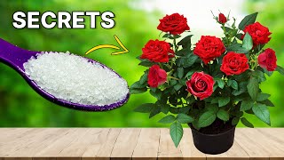 GARDEN SECRETS TO GET 500% MORE FLOWERS | 10 Guaranteed Ways to Boost Blooms