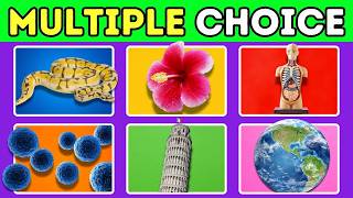 Take The Challenge And Answer All 25 Tricky Quiz Questions