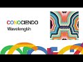 Conociendo Wavelength
