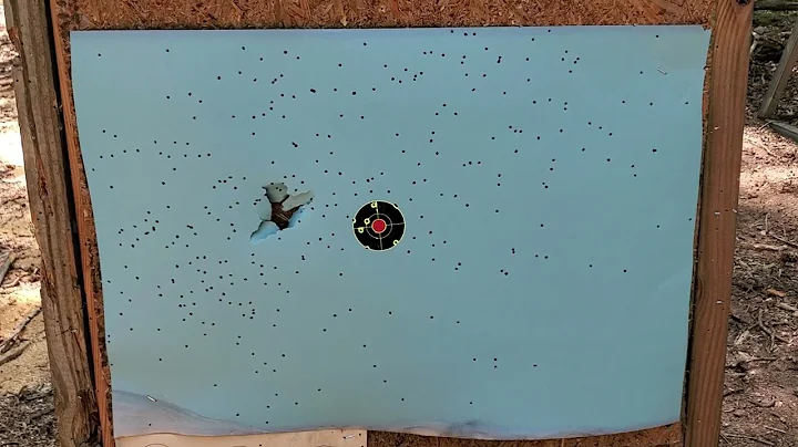 Shotcup vs fiber wads