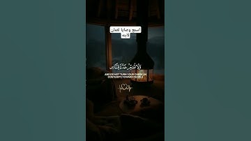 يابني أقم الصلاة |سورة لقمان | ياسر الدوسري #المصحف #اكسبلور #راحة_نفسية