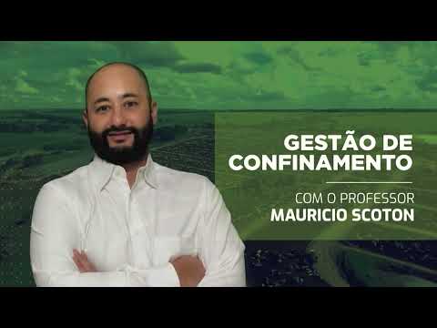 REVOLUÇÃO NO COCHO: EM 10 ANOS, CONFINADOR COLOCOU 2@ A MAIS DE PESO NO GADO