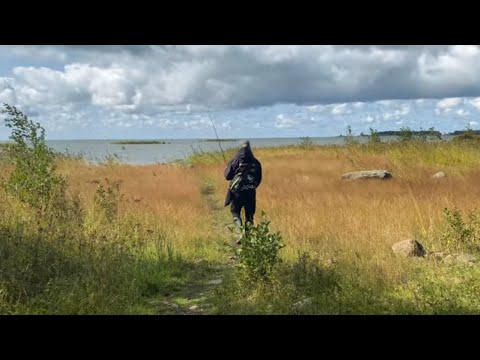 Video: Kuinka kalastaa?