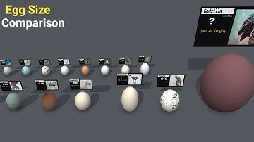 Eggs Size Comparison l Fictional Character Eggs  like Godzilla