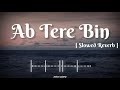 Ab Tere Bin Jilege Hum Slowed Reverb Song Aashiqui Kumar Sanu Rahul Roy Annu Agarwal Ab Tere Bin Jilege Hum Slowed Reverb Song Aashiqui Kumar Sanu Rahul Roy Annu Agarwal