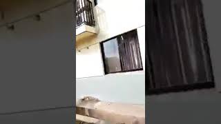 TKA Cina Memukul Pribumi di PLTU #Lihat kemarahan Pribumi Jangan main main sama Pribumi