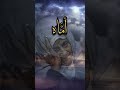 الشيخ خالد الراشد عن الام 