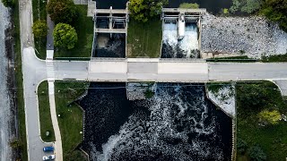 PFAS foam accumulates on Huron River in Ann Arbor