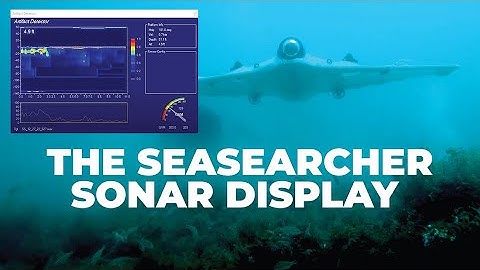 Beneath the Surface: How the SeaSearcher Sonar Reveals Subsurface Artifacts!