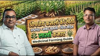 औषधीय फसल का सीक्रेट : विशेषज्ञ से सीखें औषधीय पौधों की बुवाई, मंडी भाव और मुनाफा