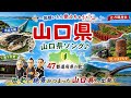 山口県が3分で覚えられる!吉田松陰・ふぐ・絶景まで歌で学ぶ【都道府県ソング】