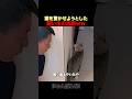 猫を驚かせようとした飼い主の末路ｗｗ
