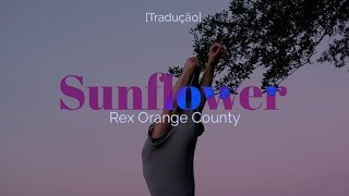 Rex Orange County - Sunflower [Legendado/Tradução]