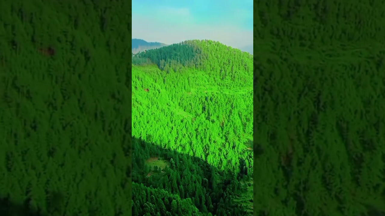 Natural beauty of shangla 