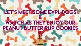 Pet Project Peanut Butter Pup Cookies Evpl Digital Program