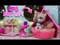 Let's Make A LPS Set Together!