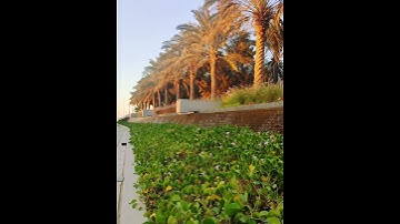 سورة الحج -آية "ألم تر أن الله يسجد له من في السموات ومن في الأرض "