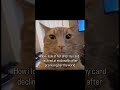 This Is The End Hold Your Breath And Count To Ten Humor Car Funnymemes Hilarious Cat Lol