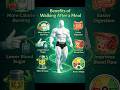 Benefits Of Walking After Meal #facts #healthfacts #factsinenglish #usafacts #factshorts #shorts