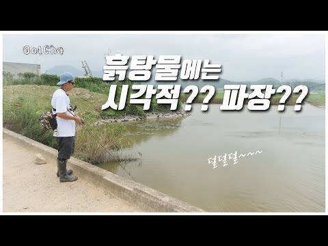 [feat.박성완] ep.<strong>20_korea</strong> bass