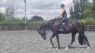 Advert reference - 416553